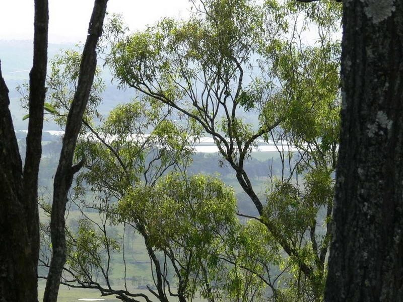 Mount Byron QLD 4312