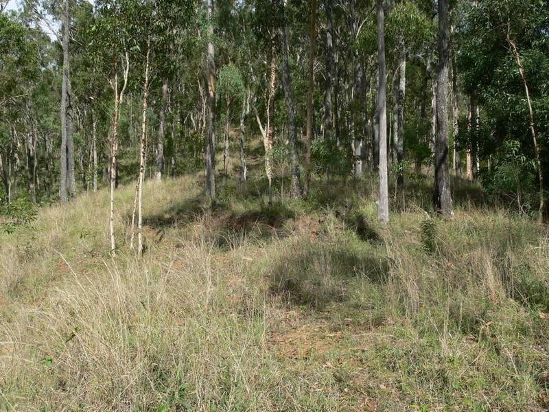 Mount Byron QLD 4312