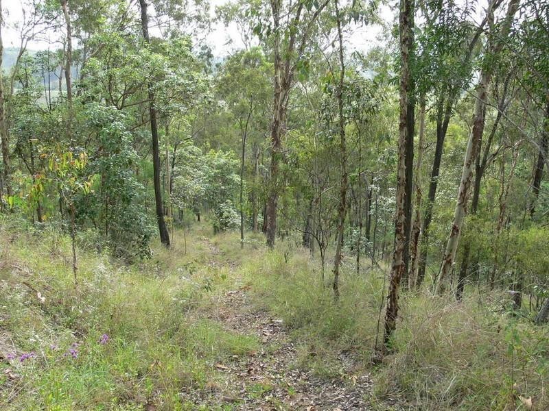 Mount Byron QLD 4312