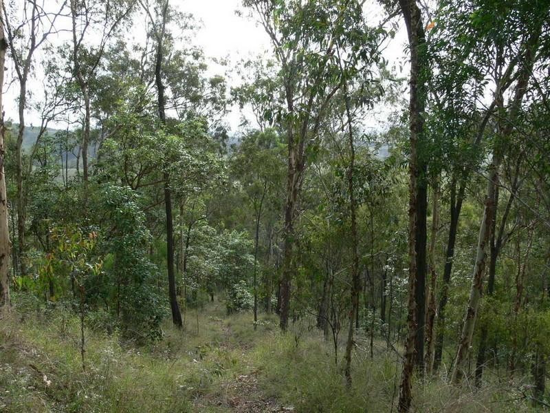 Mount Byron QLD 4312