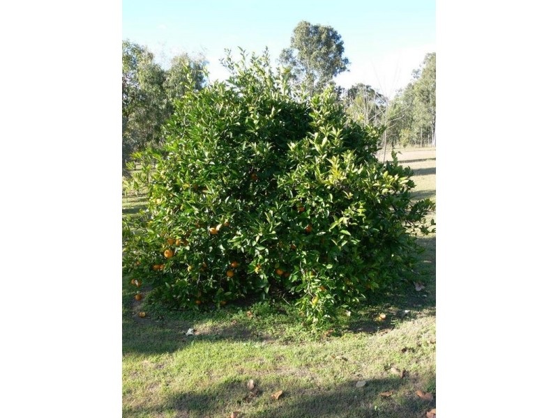 Esk QLD 4312