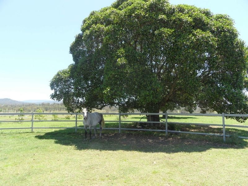 Mount Walker QLD 4340