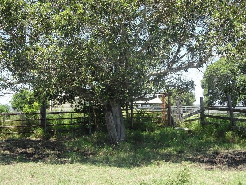 Mount Walker QLD 4340