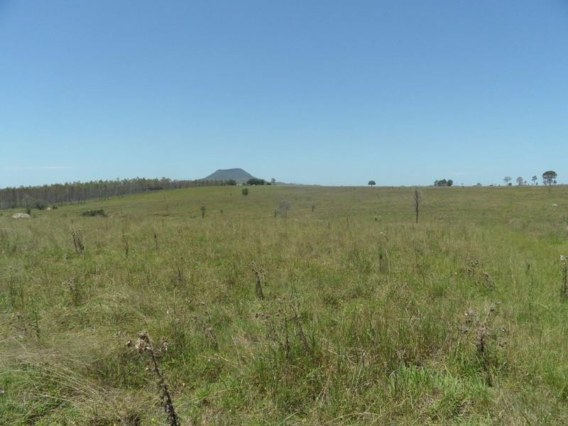 Mount Walker QLD 4340