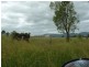 Mount Beppo QLD 4313