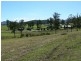 Sandy Creek QLD 4515