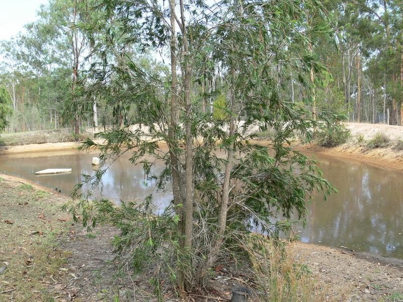 Coominya QLD 4311