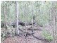 Esk QLD 4312