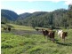 Buaraba QLD 4311