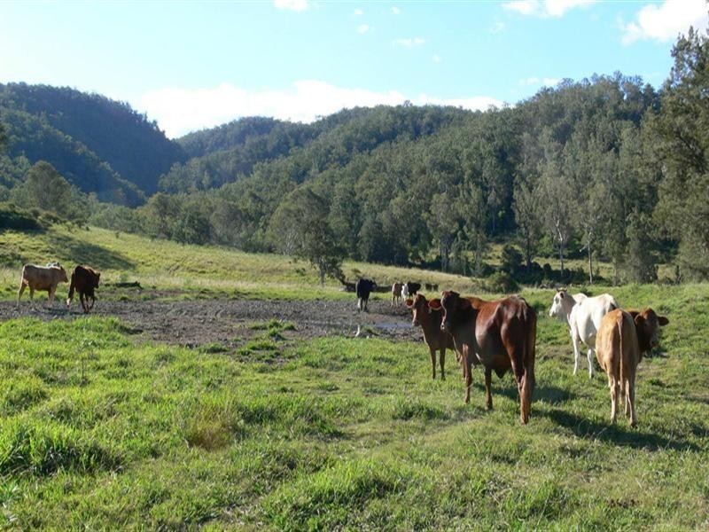 Buaraba QLD 4311