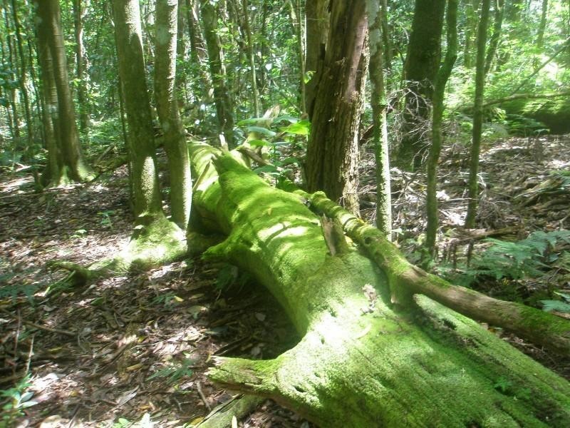 Esk QLD 4312