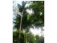 Esk QLD 4312