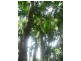 Esk QLD 4312