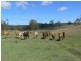 Buaraba QLD 4311