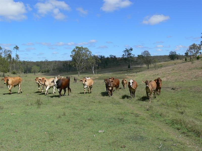 Buaraba QLD 4311