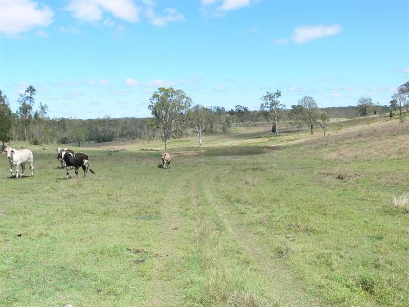 Buaraba QLD 4311