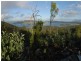 Crossdale QLD 4312