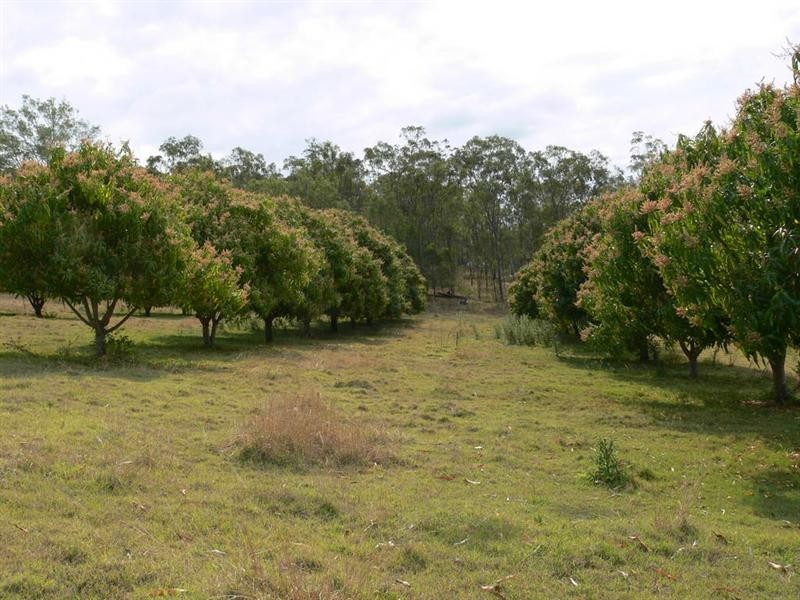 Redbank Creek QLD 4312