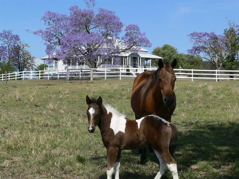 Coal Creek QLD 4312