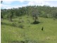 Harlin QLD 4306
