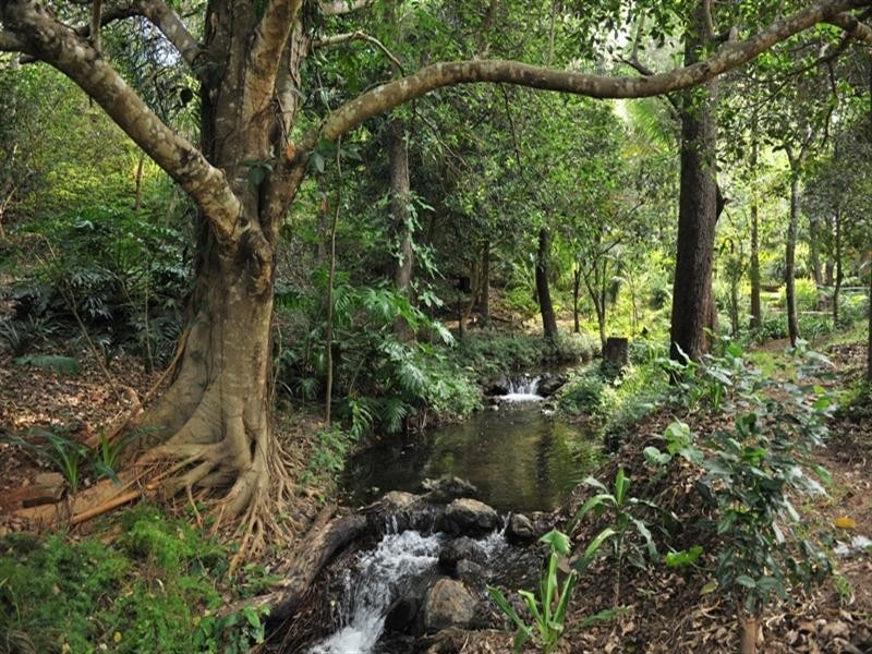 Split Yard Creek QLD 4306