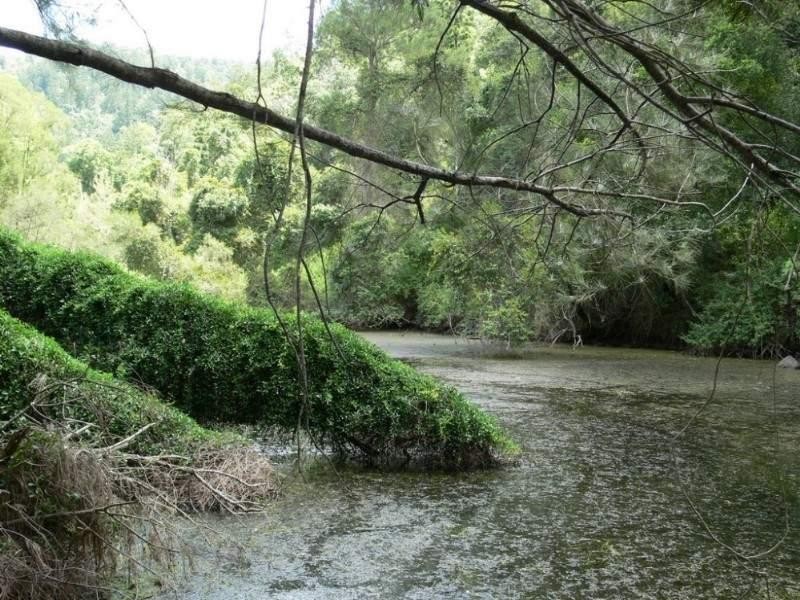 Biarra QLD 4313