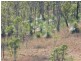 Esk QLD 4312