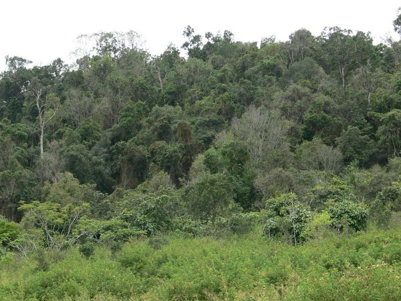 Esk QLD 4312