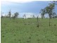 3143 Wivenhoe Somerset Road, Crossdale QLD 4312