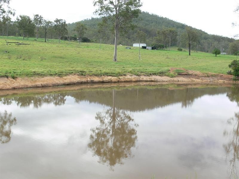 377 Willaura Drive, Mount Hallen QLD 4312