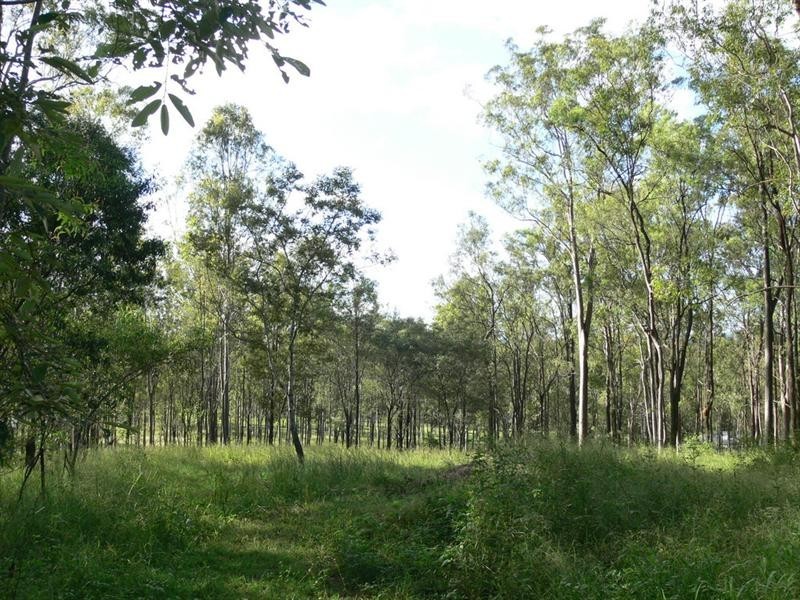 3245 Gatton Esk Road, Esk QLD 4312