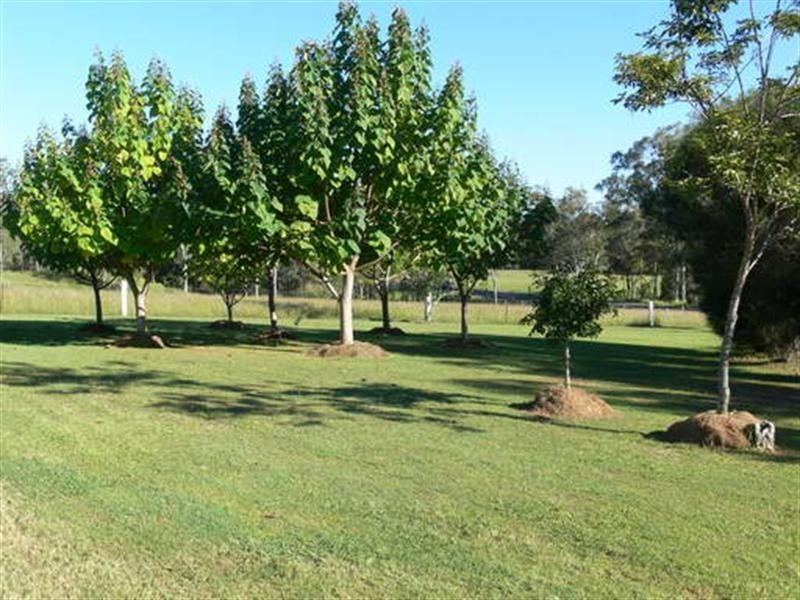 Esk QLD 4312