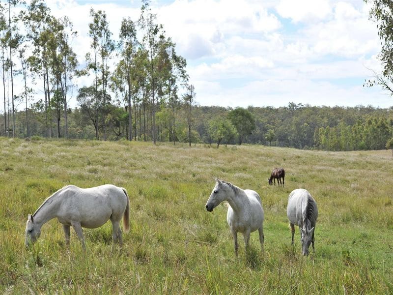36 Old Station Road, Mount Hallen QLD 4312