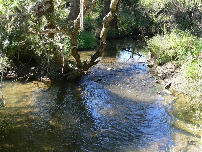 53 Coogan Road, Crossdale QLD 4312