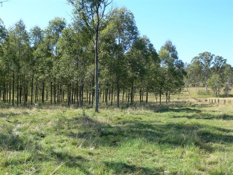 53 Coogan Road, Crossdale QLD 4312