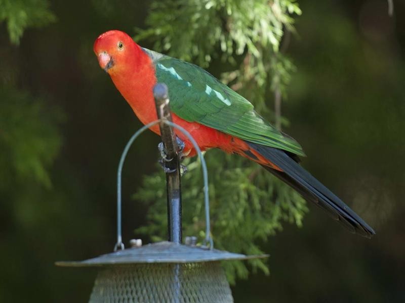 162 Regent Road, Esk QLD 4312