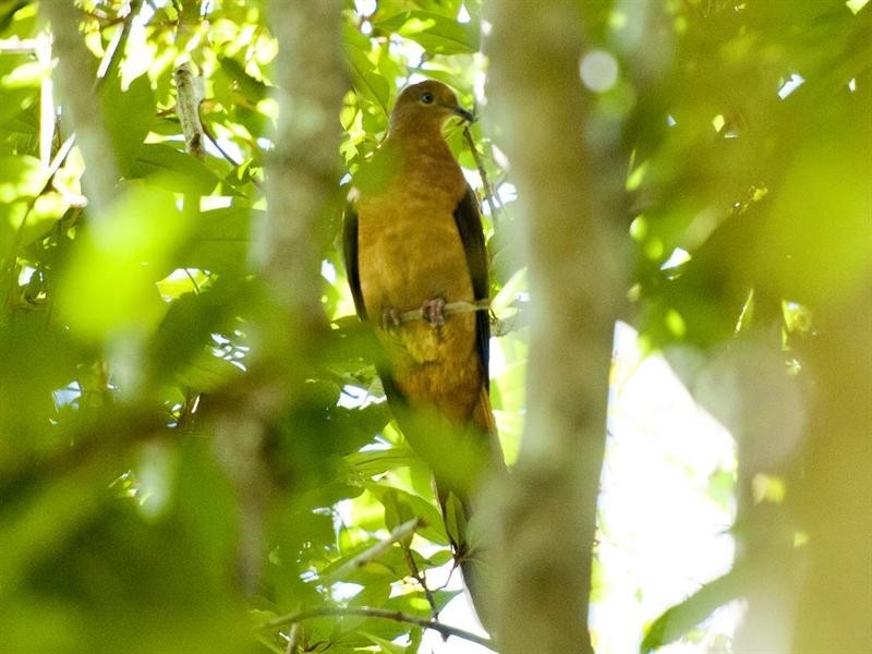 162 Regent Road, Esk QLD 4312