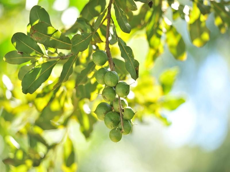 162 Regent Road, Esk QLD 4312