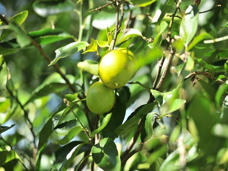 162 Regent Road, Esk QLD 4312