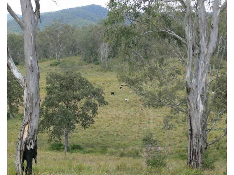 206 Stirlings Road, Mount Byron QLD 4312