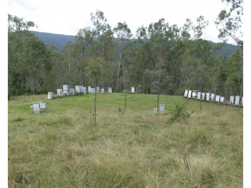 206 Stirlings Road, Mount Byron QLD 4312