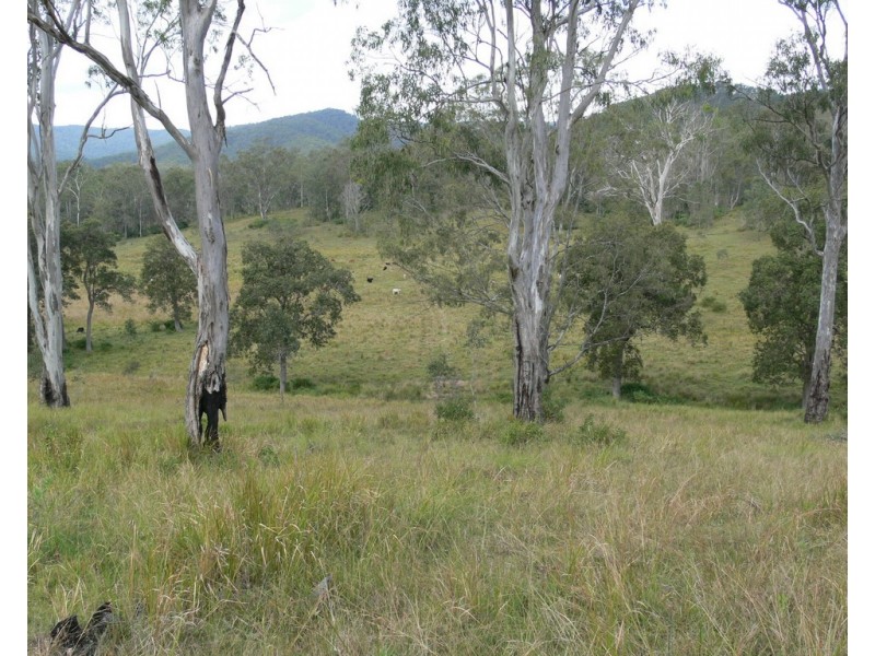 206 Stirlings Road, Mount Byron QLD 4312