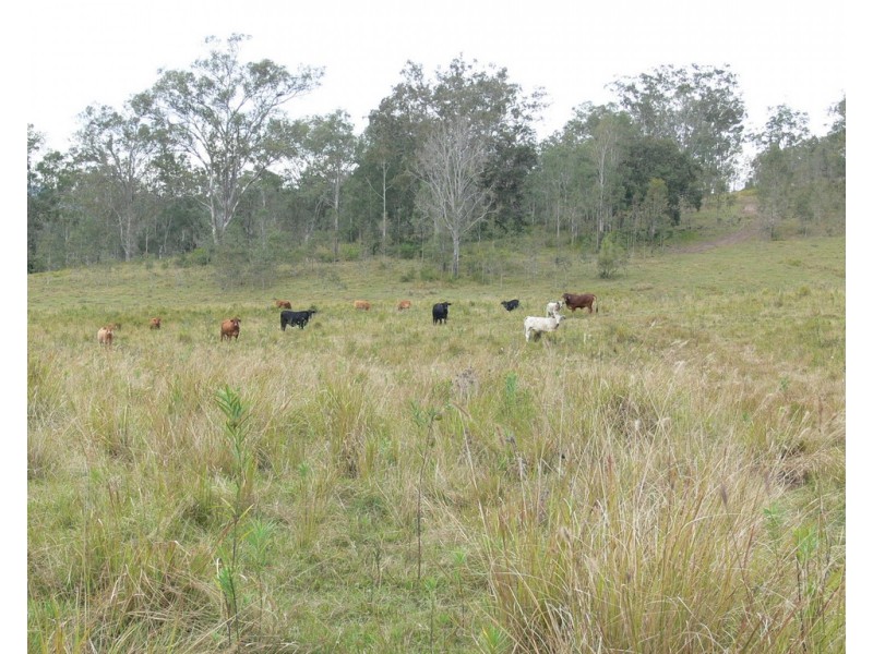 206 Stirlings Road, Mount Byron QLD 4312