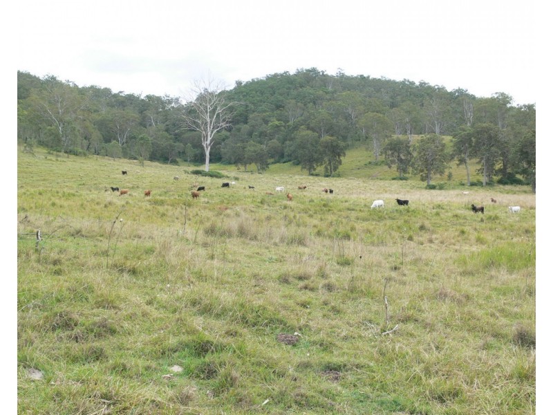 206 Stirlings Road, Mount Byron QLD 4312