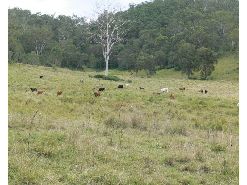 206 Stirlings Road, Mount Byron QLD 4312