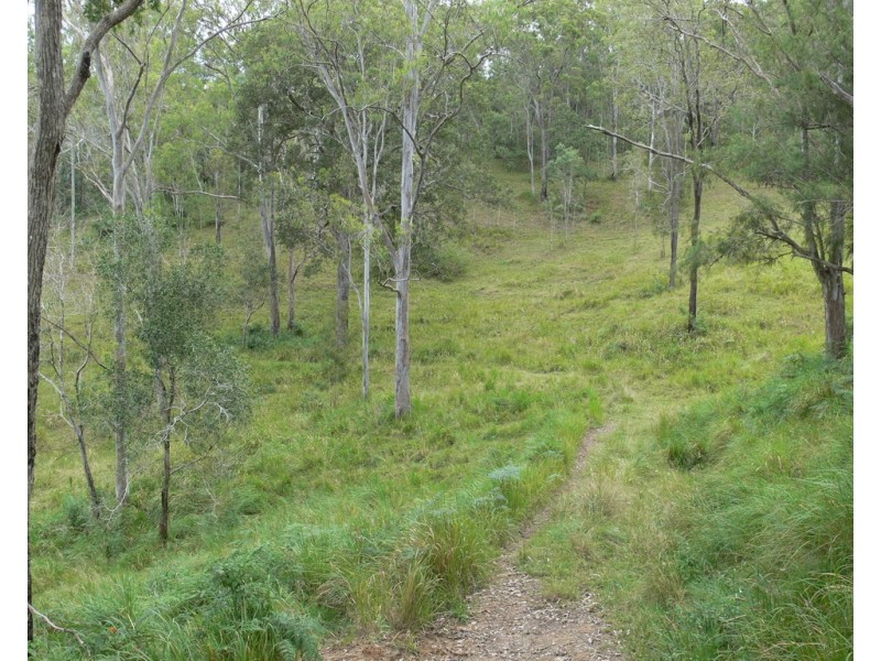 206 Stirlings Road, Mount Byron QLD 4312