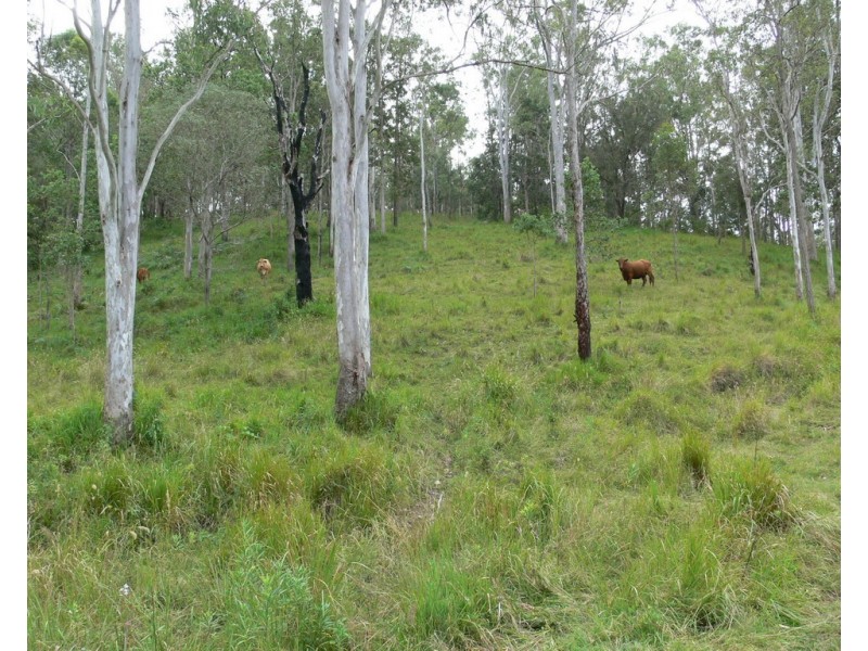 206 Stirlings Road, Mount Byron QLD 4312