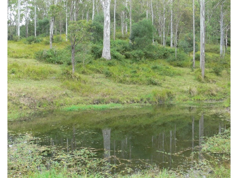 206 Stirlings Road, Mount Byron QLD 4312