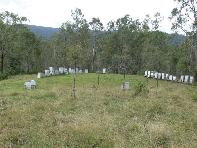 206 Stirlings Road, Mount Byron QLD 4312