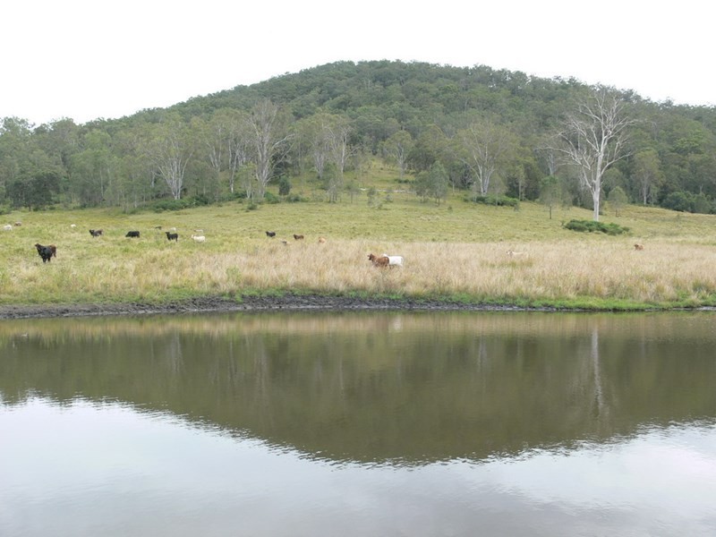 206 Stirlings Road, Mount Byron QLD 4312